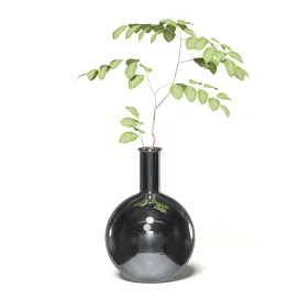 Plantinchromevase
